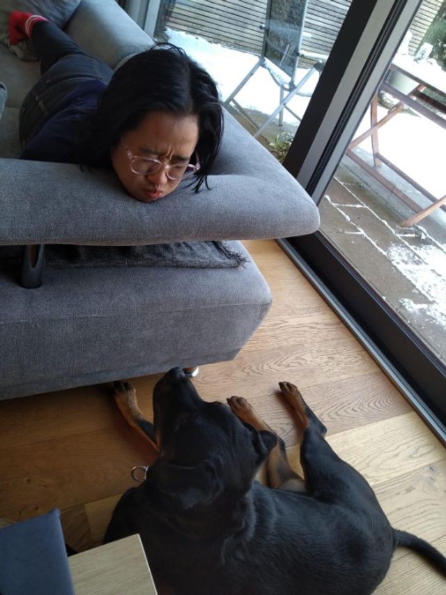 Pet Hotel Home Pet Boarding in Luxembourg, Luxembourg Grace