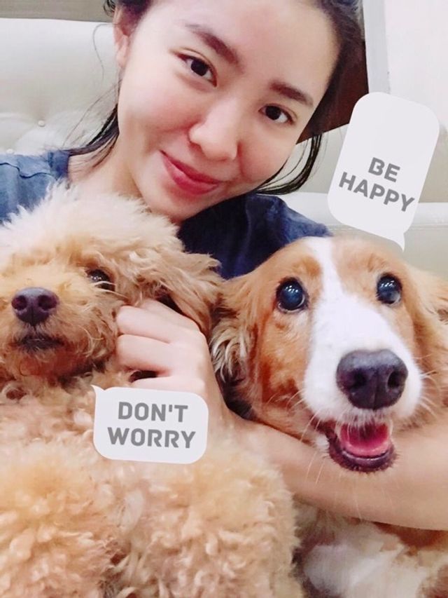 Pet Hotel Home Pet Boarding in Kuala Lumpur , KL KL Happy Pooch House