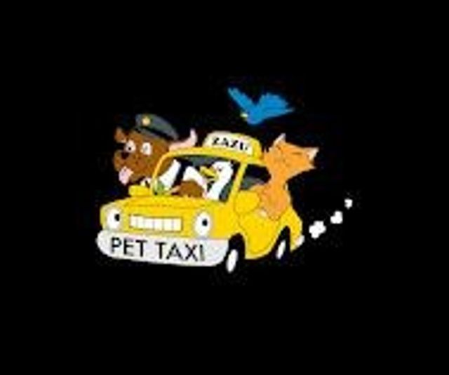 Pet Taxi Transport in Electronic City, Bengaluru Zazu Pet Taxi - Main Image