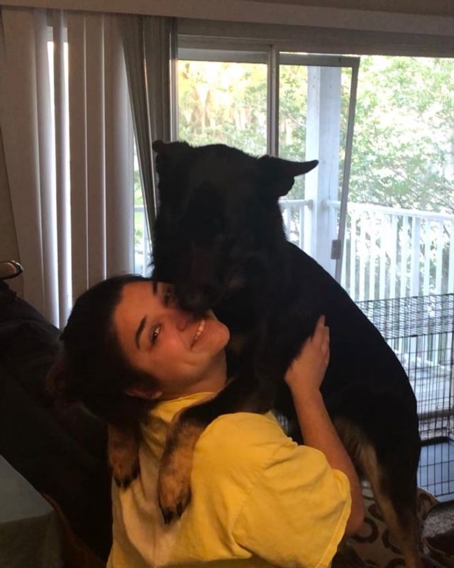 Pet Boarding in Cannon Street, Lakeland Rachelle’s Boarding