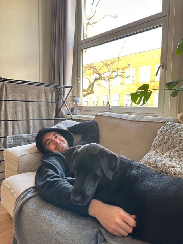 Pet Hotel Home Pet Boarding in Amsterdam West, Amsterdam Dog Boarding