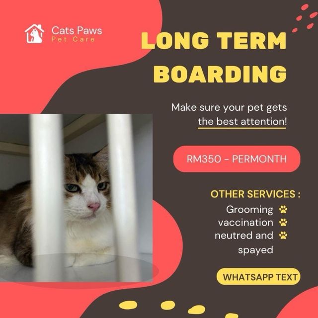 Pet Resort Pet Paradise Veterinary Services Pet Resort Dog