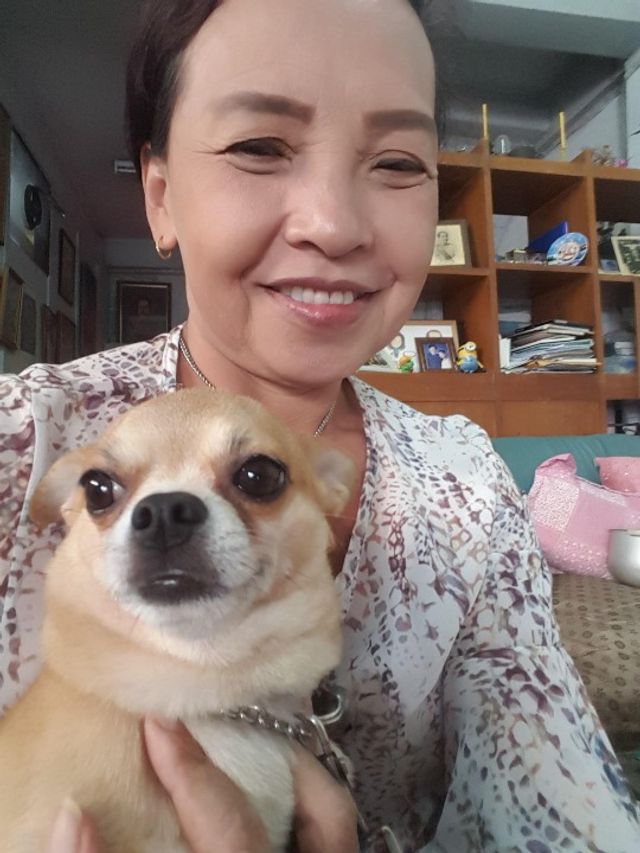 pet-sitter-in-4-64