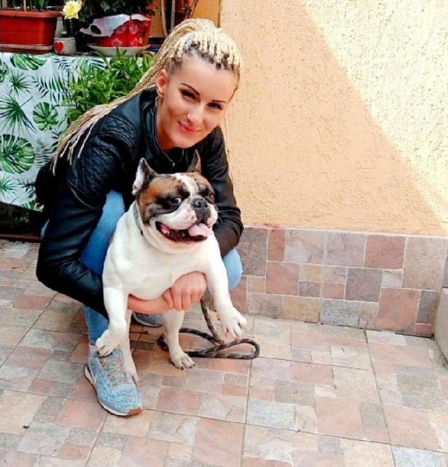 pet friendly blessington pet hospital
