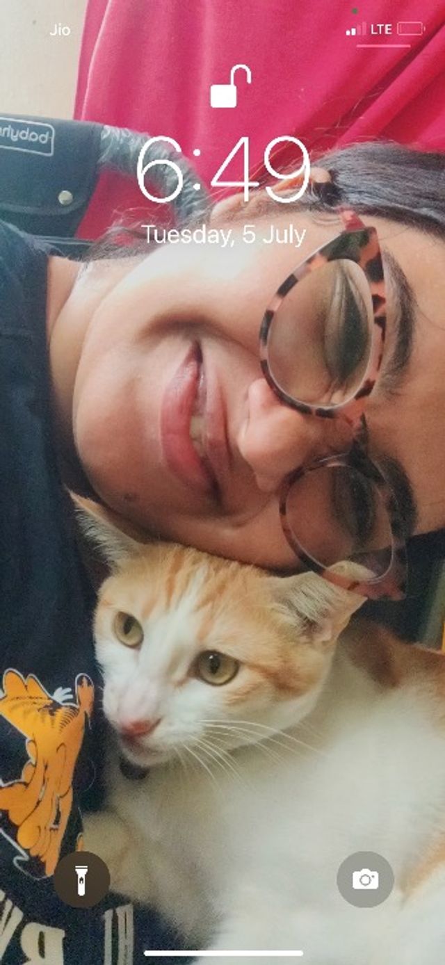 Pet Hotel Home Pet Boarding in Bengaluru Coffee & Ams Cat Boarding