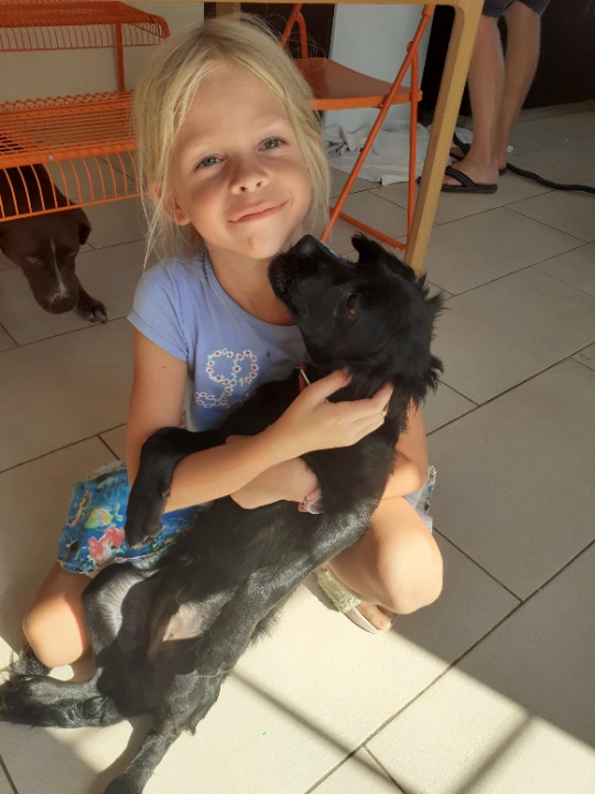 Pet Hotel Home Pet Boarding in Larnaca, Oroklini, L, Oroklini Larnaca