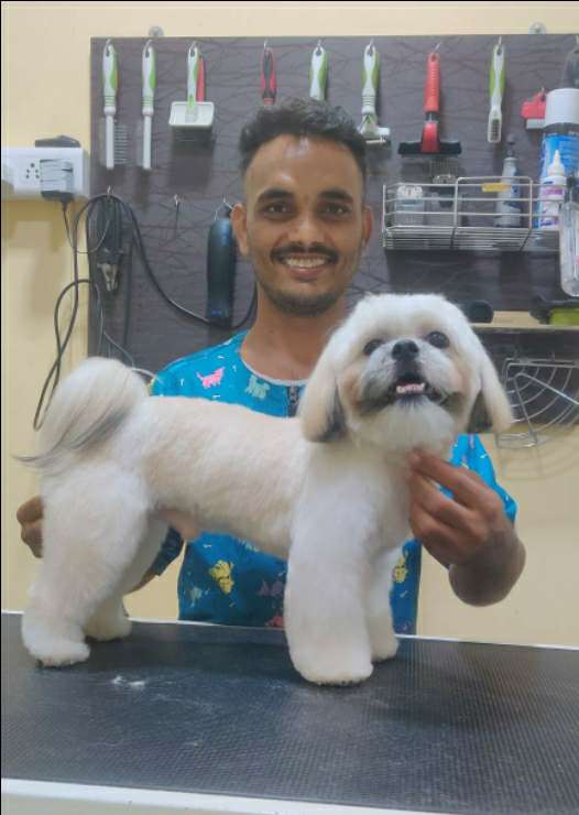 Dog, Cat Grooming in Panvel, navi mumbai, Navi Mumbai A's Pet's