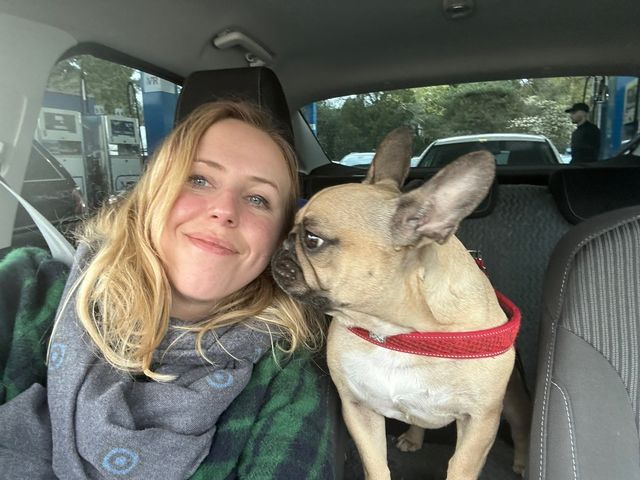 Dog Walking in Mersch city Mersch Dog Walking In Mersch Tail