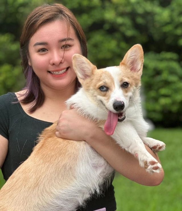 puchong，subang，serda Best Pet Hotel Home Boarding Puchong PetBacker