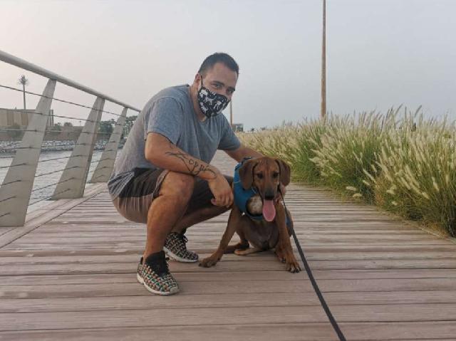 C Street, Dubai | Dog Training | PetBacker Dubai