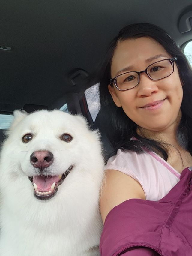 Pet Sitter In Bandar Utama Petaling Jaya Cat Boarding PetBacker pet-sitter-in-bandar-utama-petaling-jaya-cat-boarding-petbacker