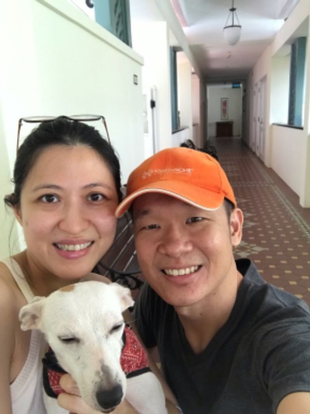 Pet Hotel Home Pet Boarding in Ang Mo Kio Street 13, Ang Mo Kio Amk