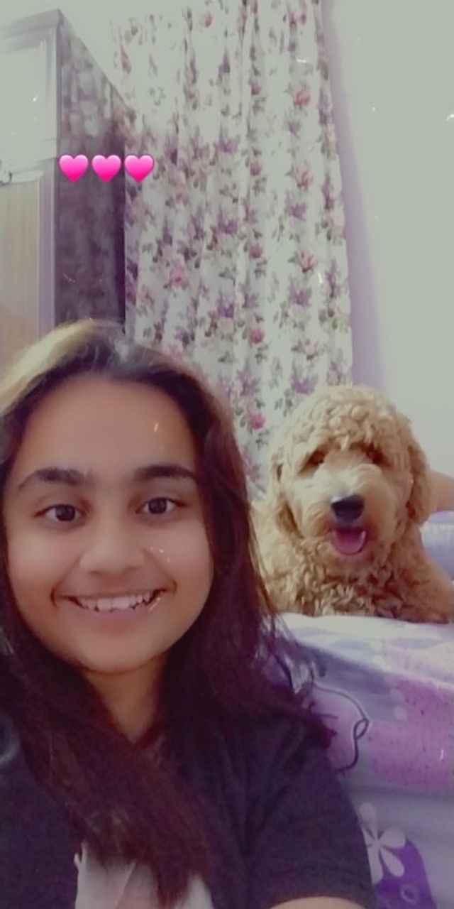 jln sp710 Best Pet Hotel Home Boarding Puchong PetBacker Milen