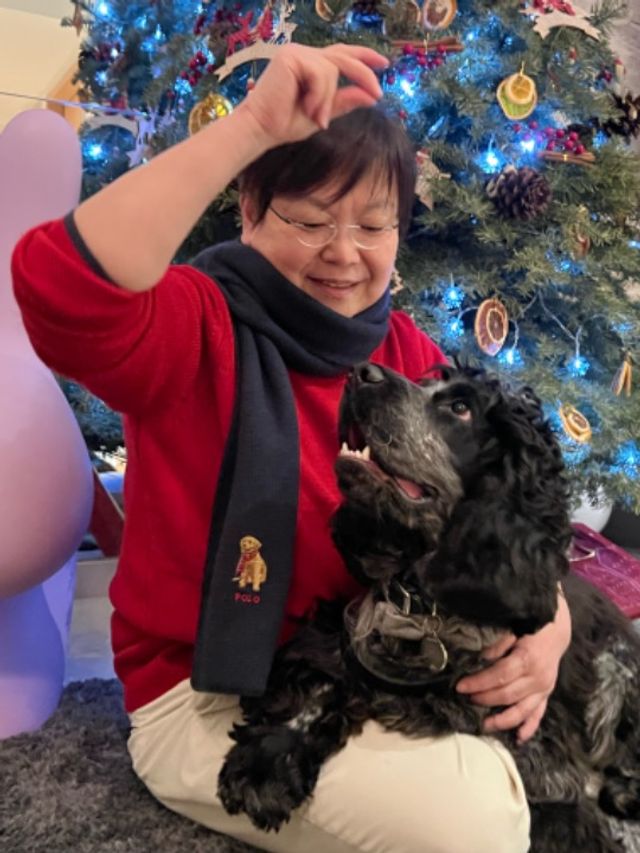 新加坡,97,Yishun Avenue 1 Bloc的宠物寄养,寄宿服务 Dogtor Oz Resorts Boarding