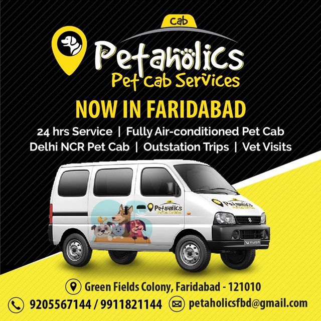 Pet Ambulance Pet Transport To Vets Emergency Vet Animal Clinic