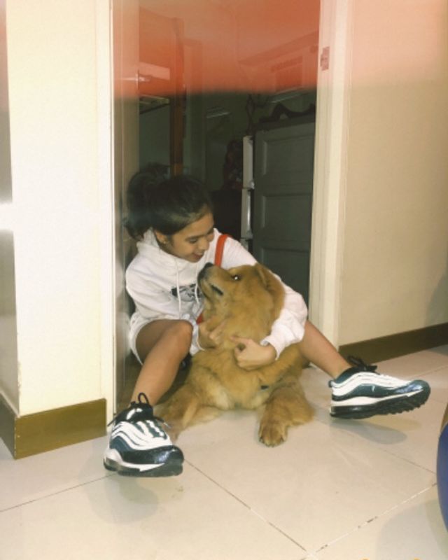 Pet Hotel Home Pet Boarding in One Castilla Place R, Quezon City