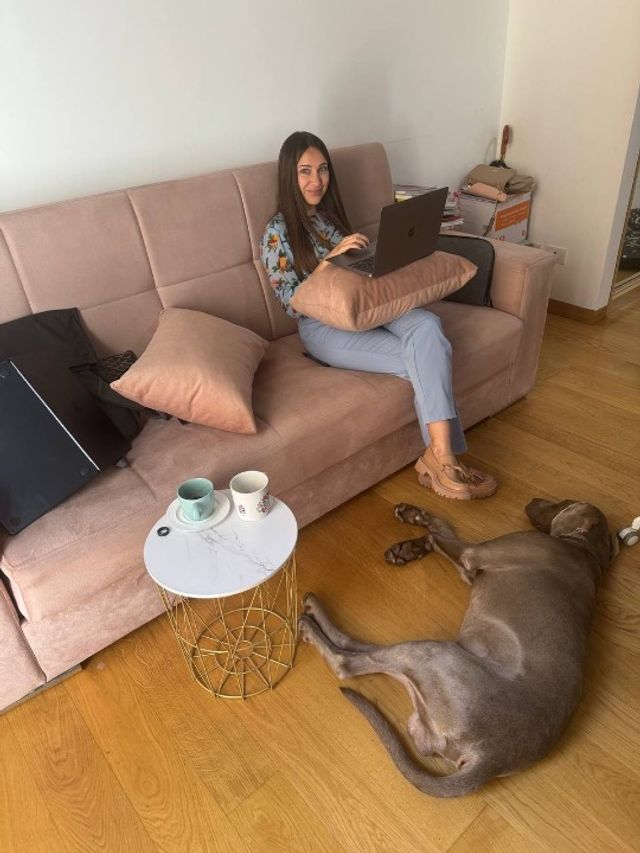 Pet Hotel Home Pet Boarding in Dubai Pet Boarding In Dubai