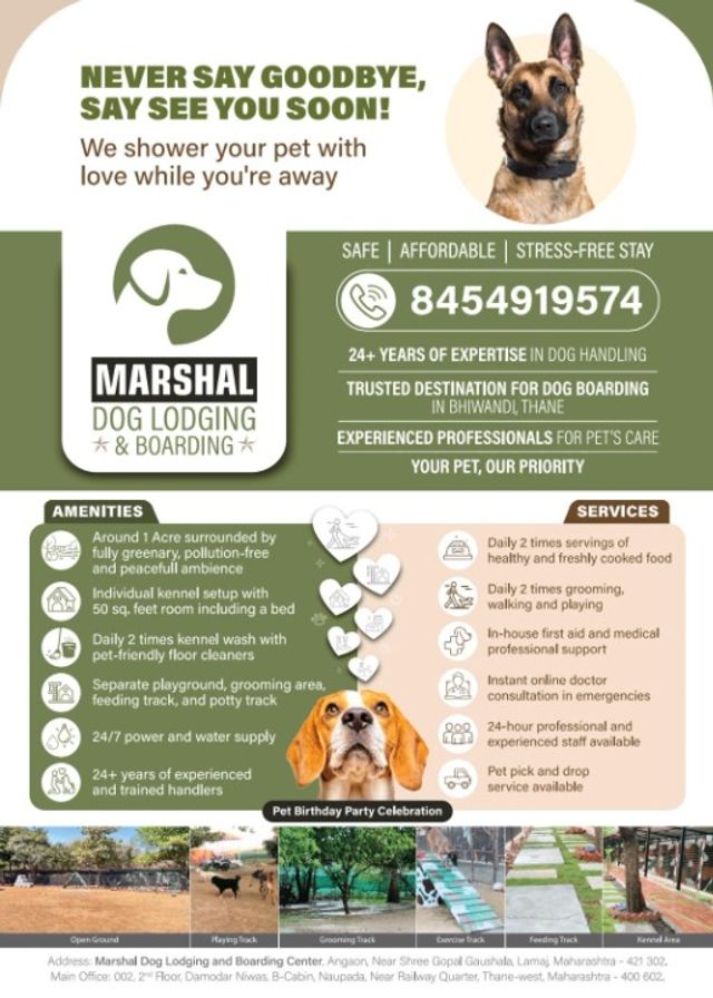 Grooming The Range Pet Lodge The Pet Lodge Online