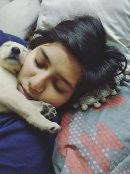 Pet Hotel Home Pet Boarding in Sector 137, Noida, Noida Pet Boarding