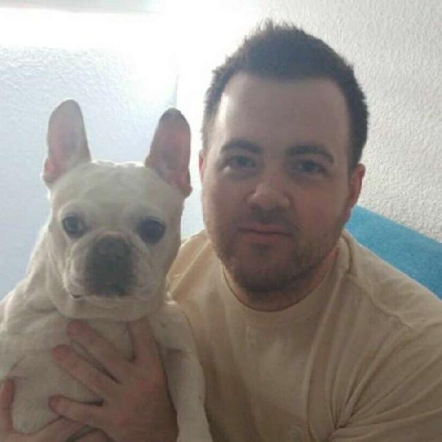 dog boarding etobicoke