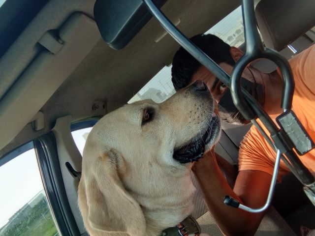 Dog Walking in Kolathur RTO, Chenna, Chennai Dog Boy PetBacker