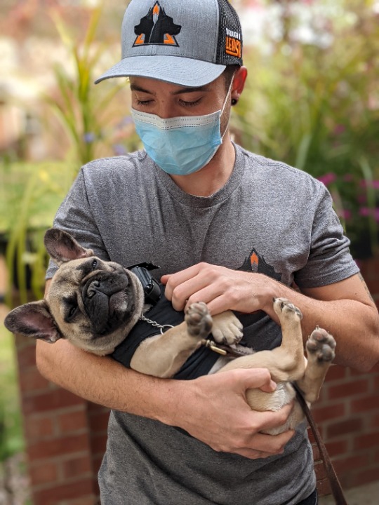 Chainz Bulldog Trappy Chainz Dog Breed 2025