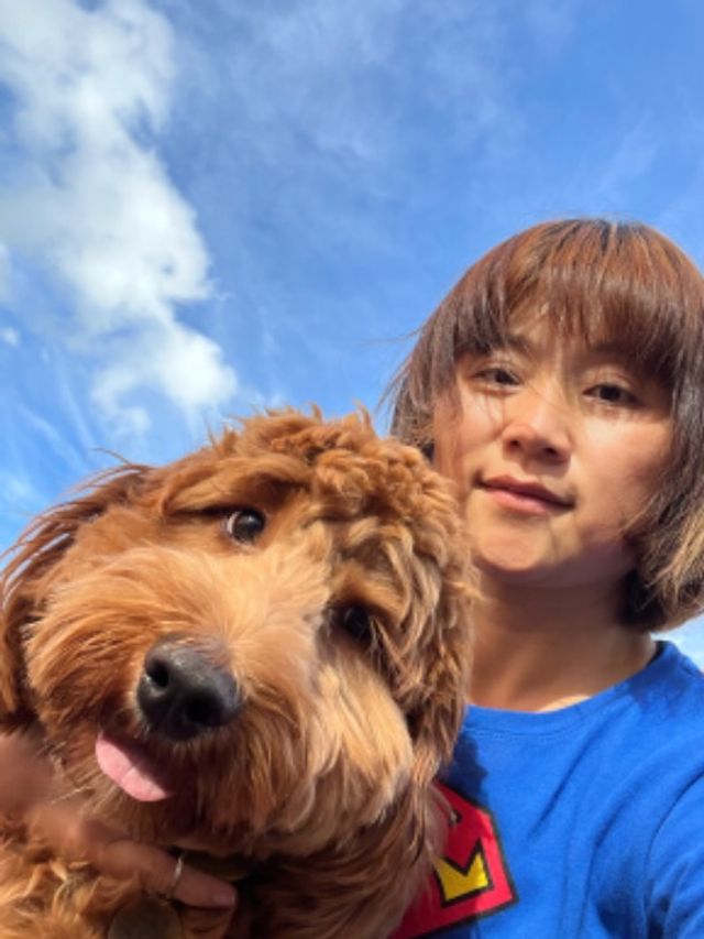 Pet Boarding in North West; Manchest, Manchester Manchester Pet