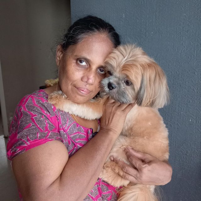 Pet Hotel Home Pet Boarding in Omr,ecr,perumbakkam,, Chennai Nova Pet