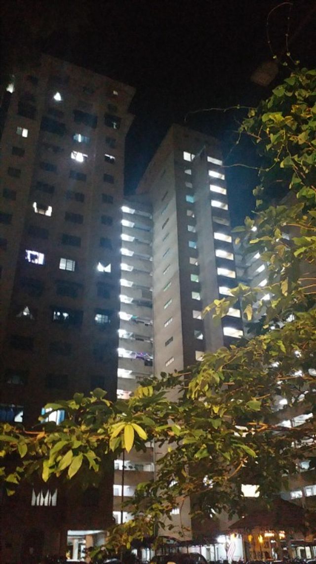 雪蘭莪,Puchong,Whole Kinrara and Ne的到府寵物保姆,定期上門照看