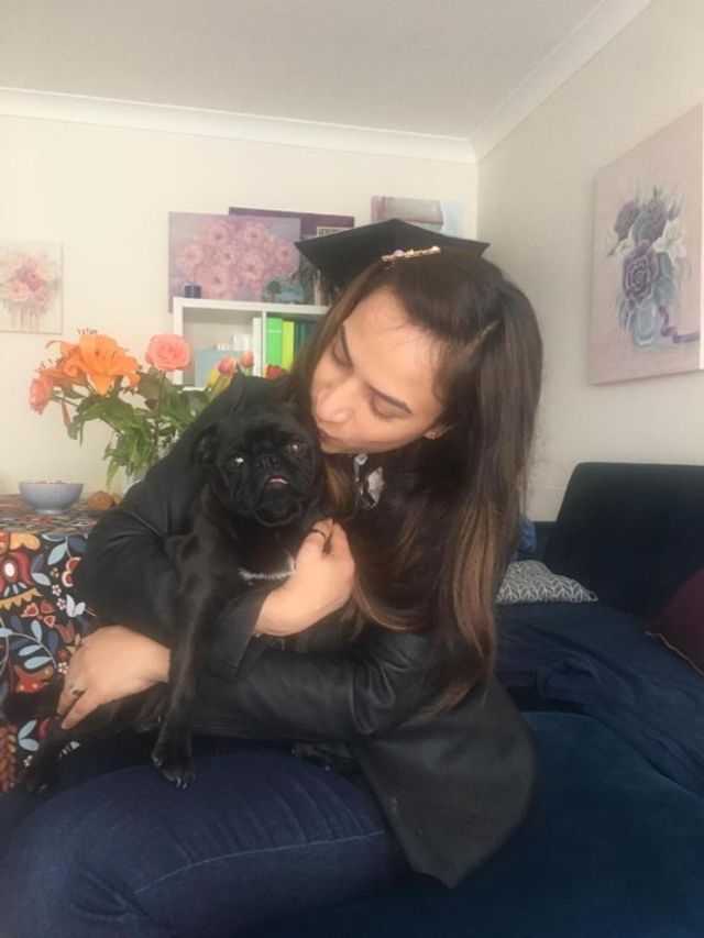 Pet Hotel Home Pet Boarding in Saint James (part Of Phoenix Park