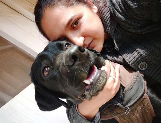 Doggy Daycare in metro hospital Gurugram Woof Woof Dog Daycare