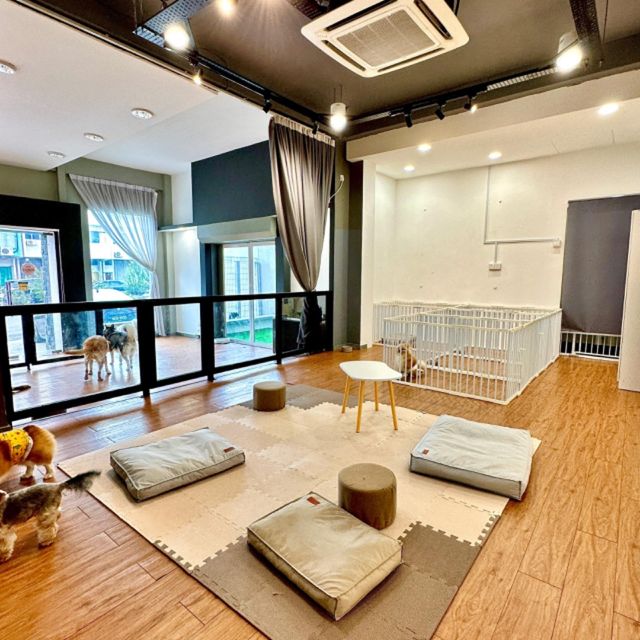 Pet Hotel Home Pet Boarding in Shah Alam, Subang, P, Petaling Jaya ...