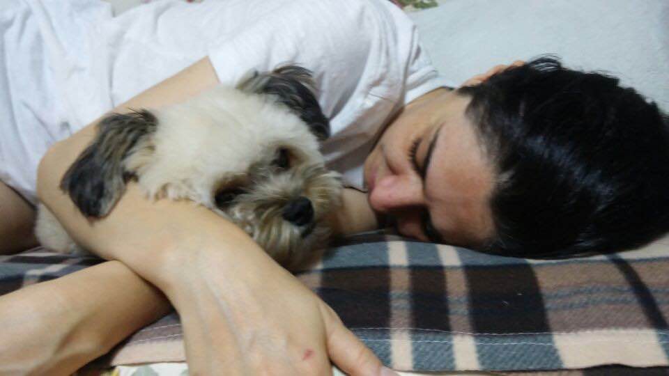 pet care express prices