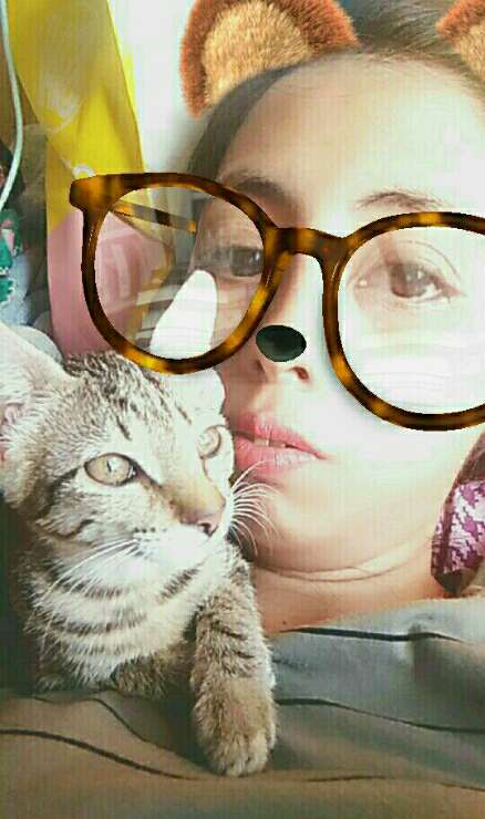 licensed and bonded pet sitters near me