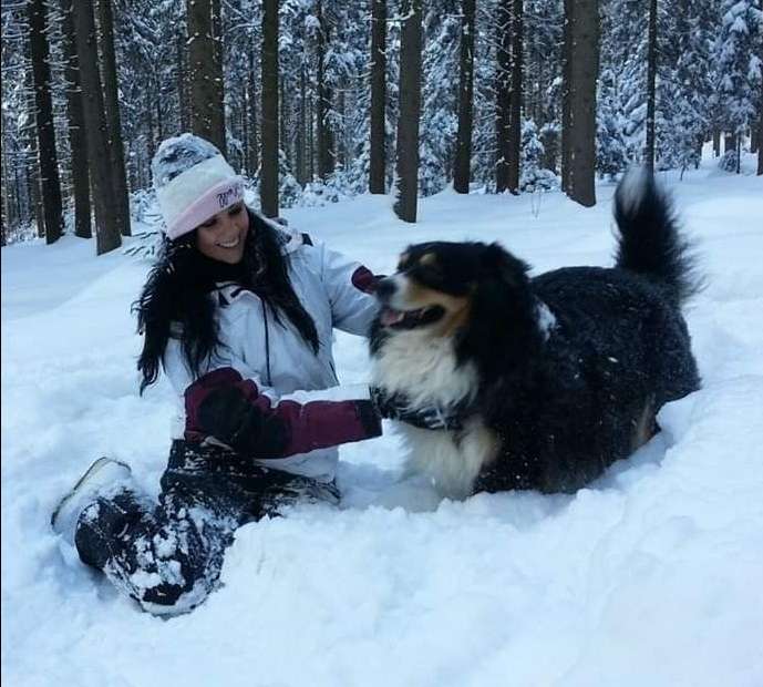 Doha Best Pet Boarding, Grooming for Dogs, Cats with ...