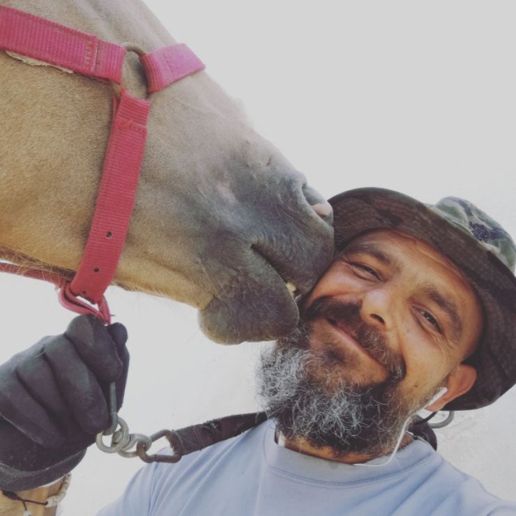 Local Cat Sitter Near Me Jobs Gallery