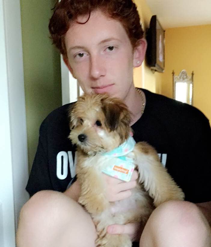 Chesapeake Best Pet Boarding, Grooming for Dogs, Cats with Pickup