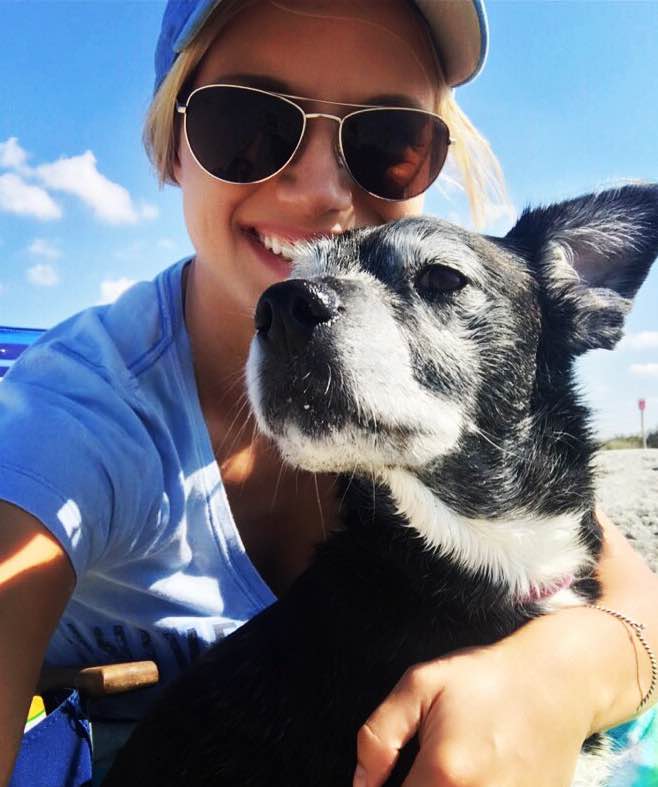 Top Sarasota Dog Boarding Prices & Reviews PetBacker