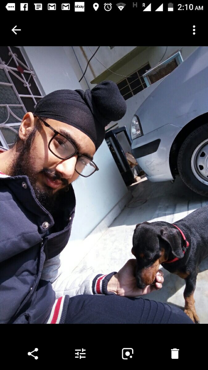 อำเภอบางพลี Best Pet Boarding, Grooming for Dogs, Cats with Pickup