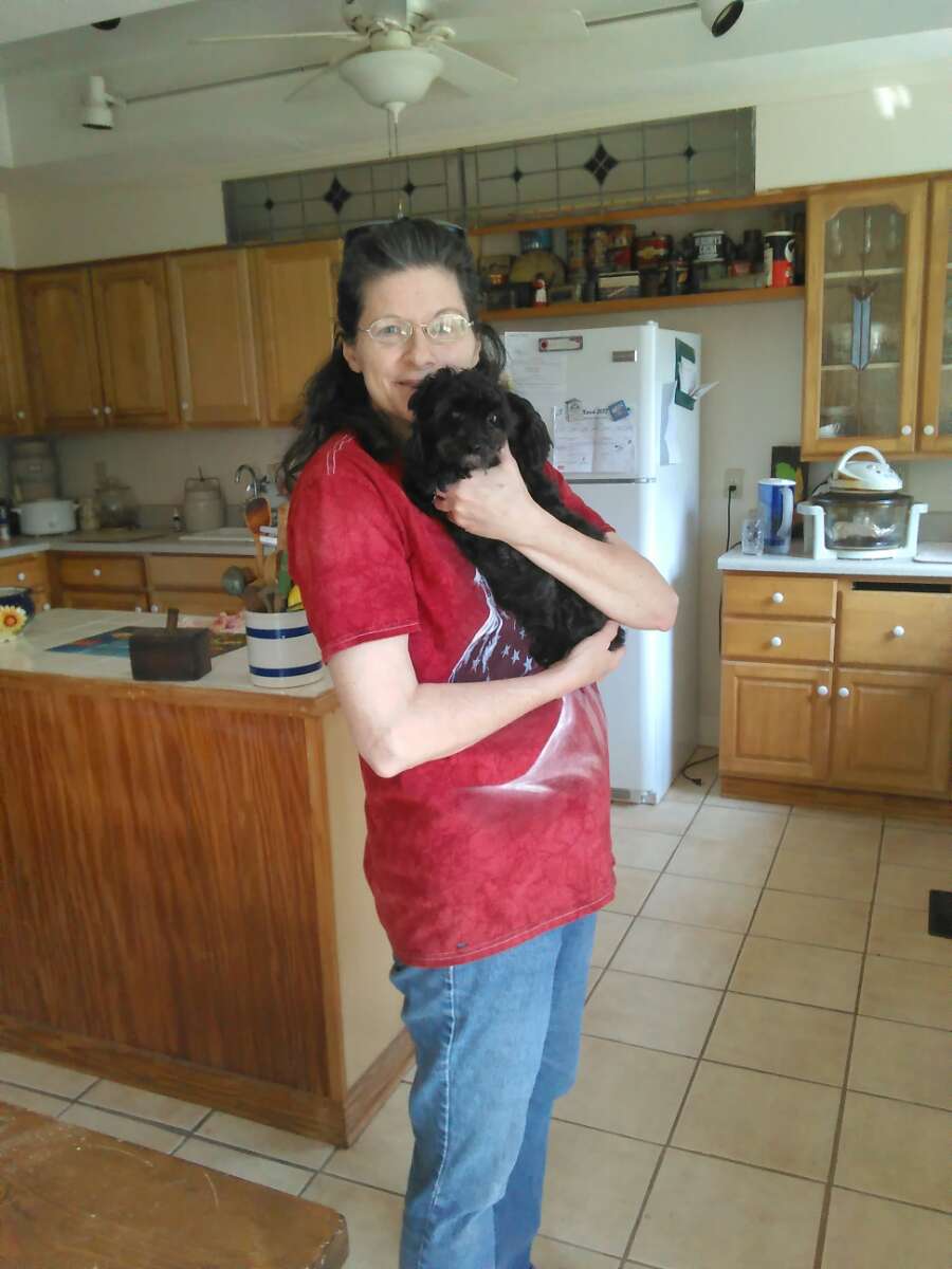 Top Dog Walking in North Augusta with Best Prices on PetBacker