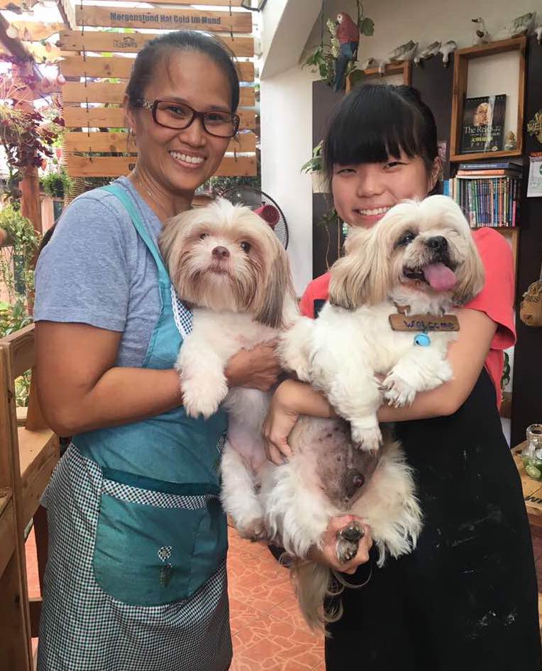 Top empfohlene Hunde Unterbringung in Tropicana