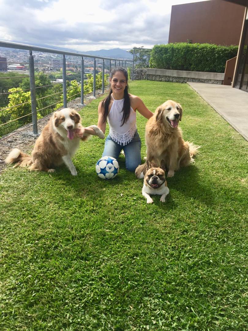 Pet Resort Second Home Dog Boarding Dog Boarding AAA Pet Resort