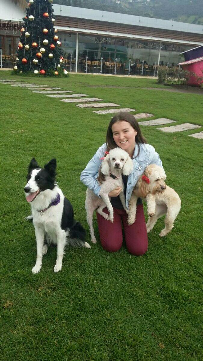 Pet Grooming in Erskineville with Best Prices on PetBacker