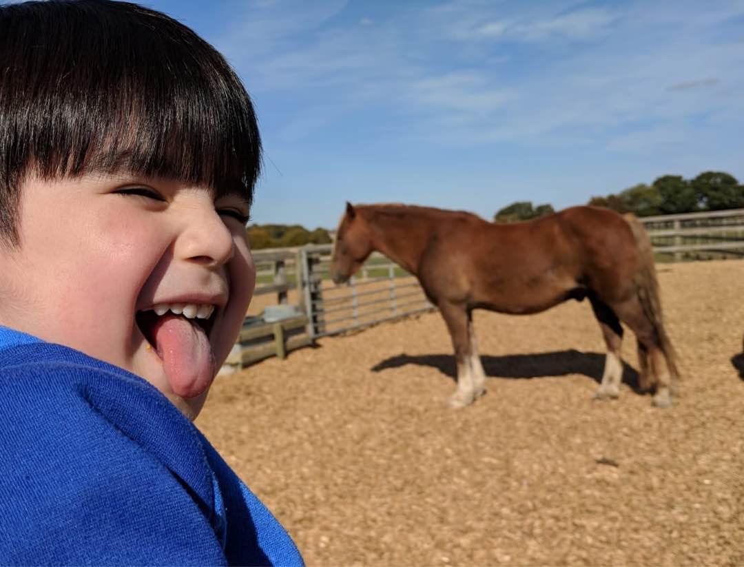 Top Dog Boarding in Enfield En11 with Best Prices on PetBacker