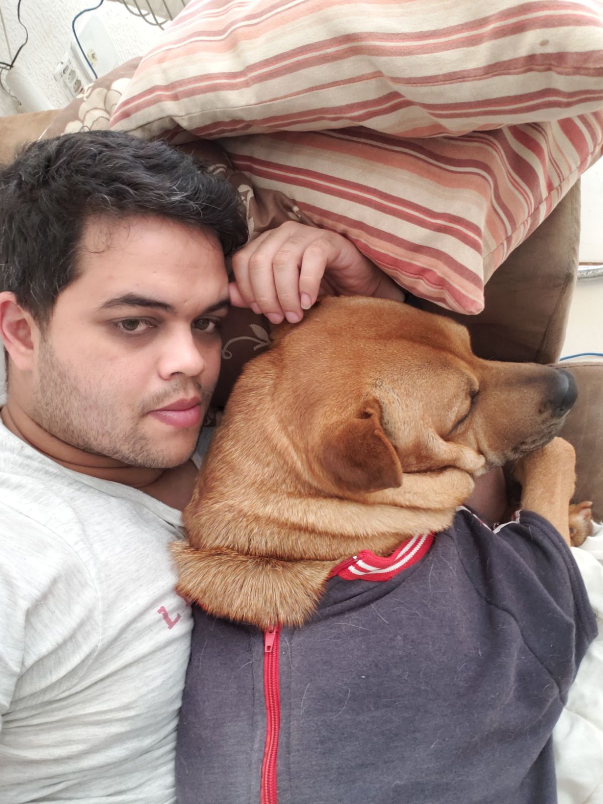 Top Dog Walking in Adelaide with Best Prices on PetBacker