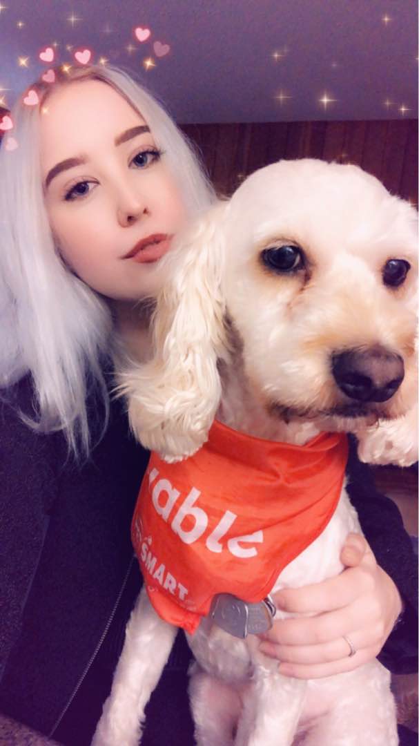 Top Grooming in Brampton with Best Prices on PetBacker