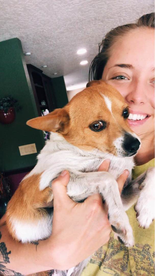 Picture of Pet Services | PetSmart