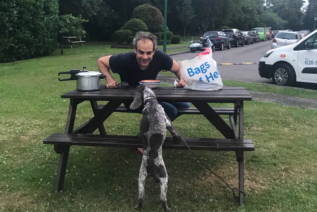 The 10 Best Cat Boarding Services Near Me (with Prices & Reviews)