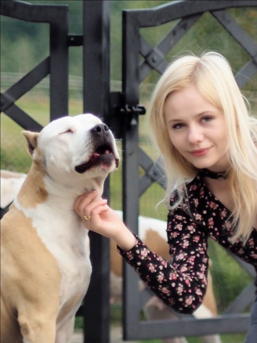 Top Dog Boarding in Bloomington with Best Prices on PetBacker