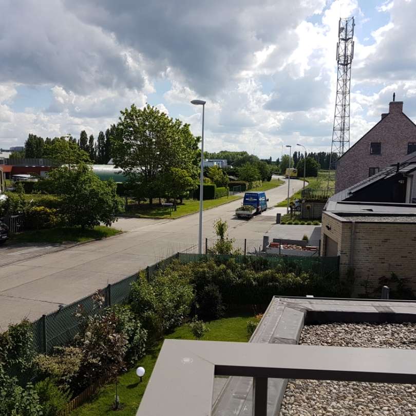 Marbella Best Pet Boarding, Grooming for Dogs, Cats with Pickup PetBacker Vlaanderen